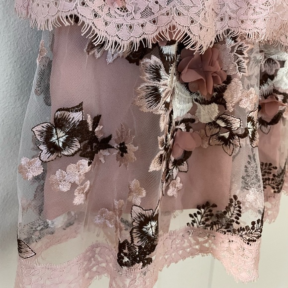 Dress The Population Women's Nellie Floral Embroidered Fit & Flare Dress Mauve - Picture 10 of 16